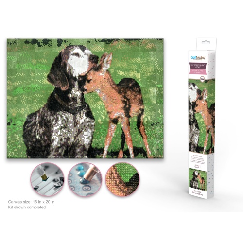 Craft Medley Kit: Diamond Painting Art Kit 15.8x19.7