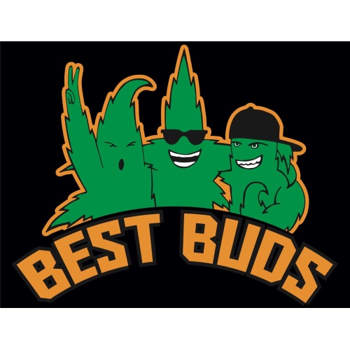 T-Shirt with print - Best Buds - XXL