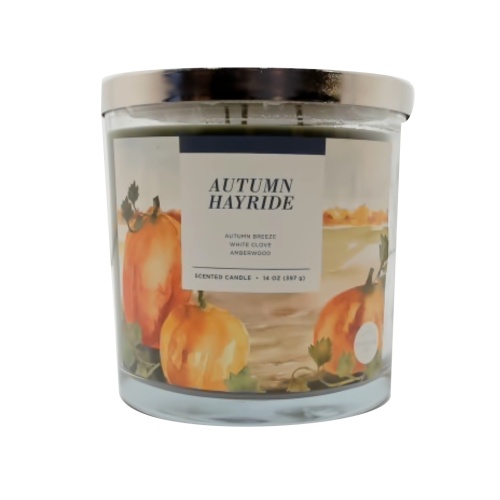 Scented Jar Candle 14oz. Autumn Hayride Sonoma