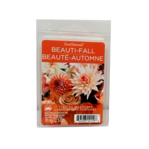 Wax Melts 2.5oz. Beauti-fall Scentsationals