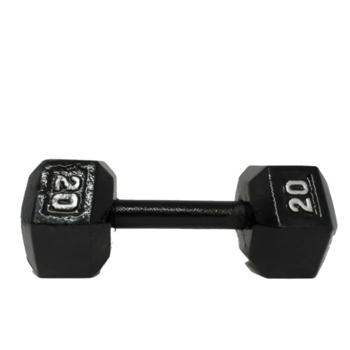 Dumbbell 20lb. Cast Iron Hex Amazon Basics