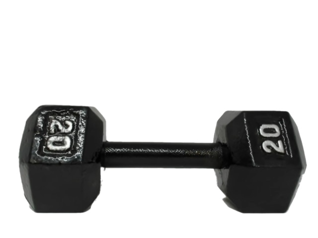 Dumbbell 20lb. Cast Iron Hex Amazon Basics