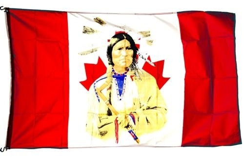 3x5 foot Flag Native Indian