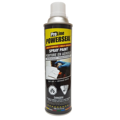 Spray paint grey primer 10 oz