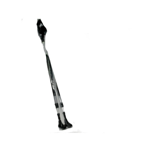 Walking Stick Cane 2 Set Black