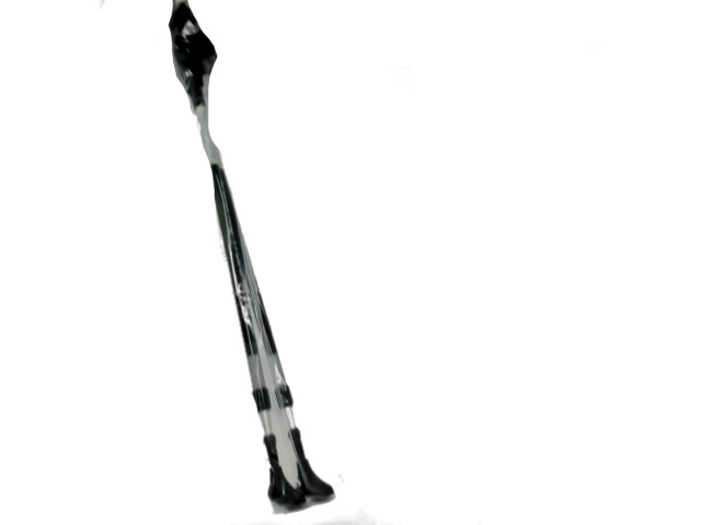 Walking Stick Cane 2 Set Black