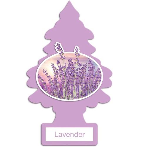 LITTLE TREES LAVENDER/144