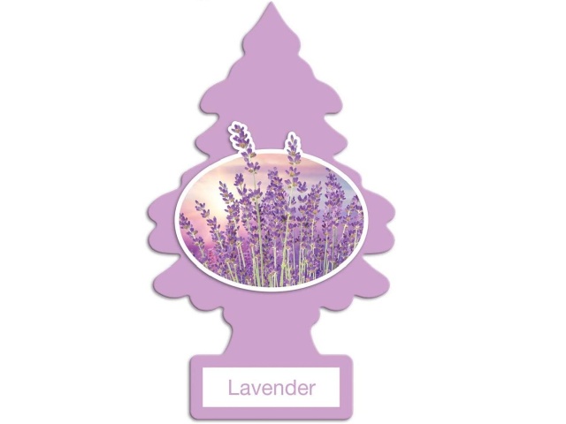 LITTLE TREES LAVENDER/144